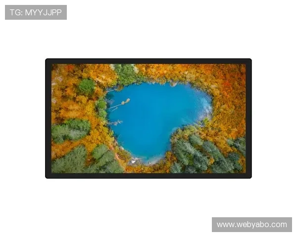 亚博体育地址登录入口2024年最新版本，全面解析登录流程与注意事项